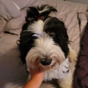 Meet your Posher, Jaime